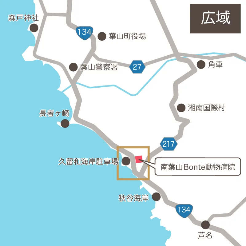南葉山Bonte